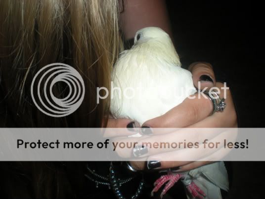 Photobucket