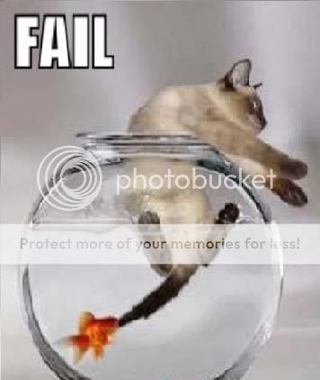 Catandfish-1.jpg