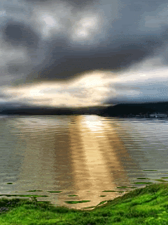 serenity animated Pictures, Images and Photos