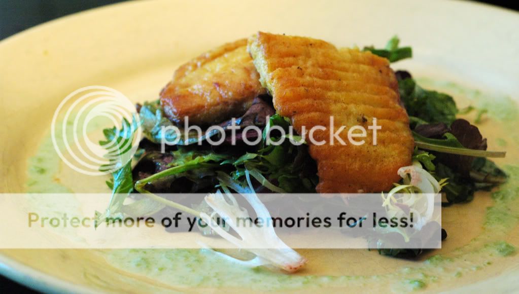 Tilapia
