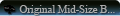 ProjectsTabs106.gif